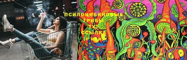 дурь Михайловск